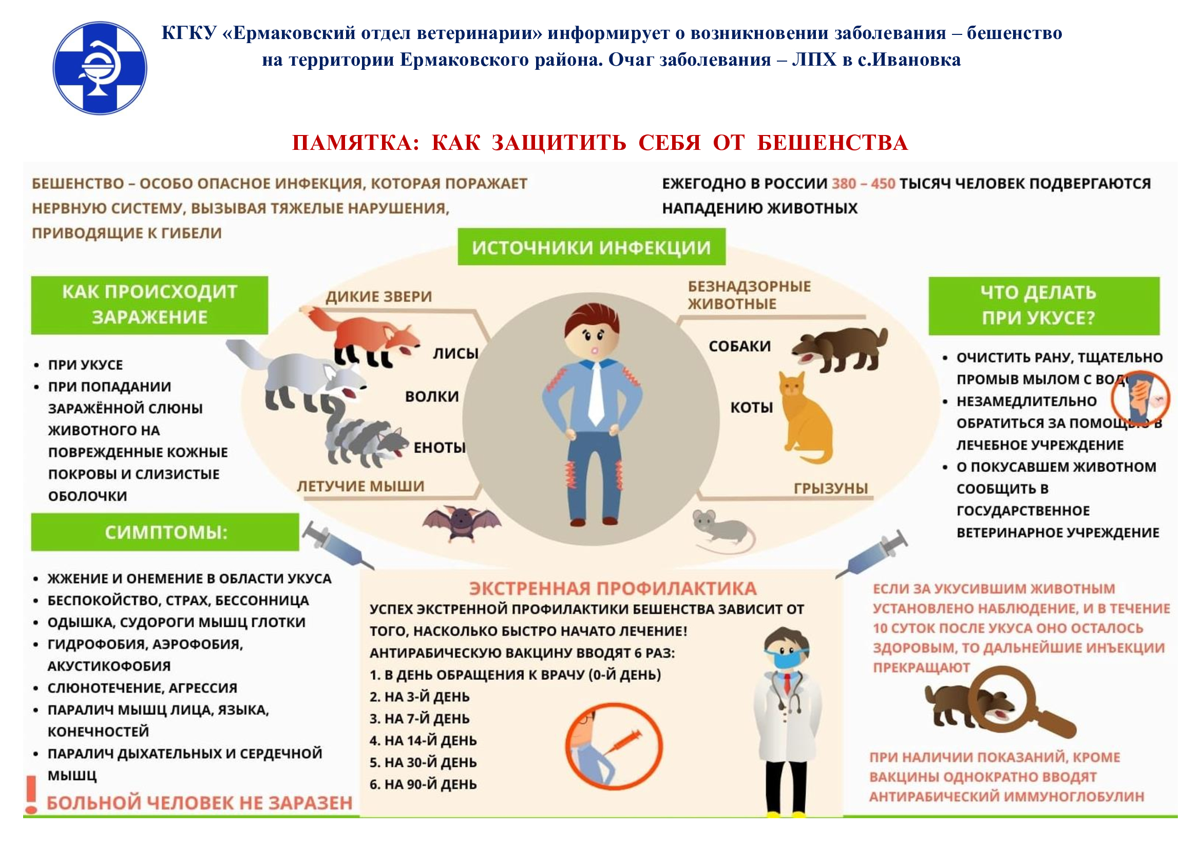 Как защитить себя от бешенства.